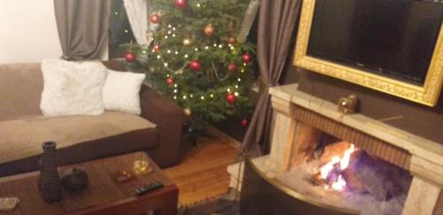 a living room with a christmas tree and a fireplace at Elena's villa in Chrysomiléa