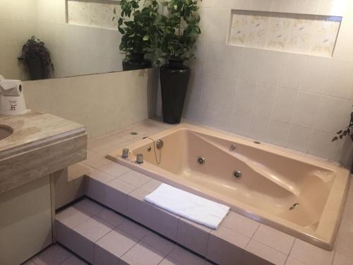 Hotel Fleming في مدينة ميكسيكو: حمام مع حوض استحمام ومغسلة