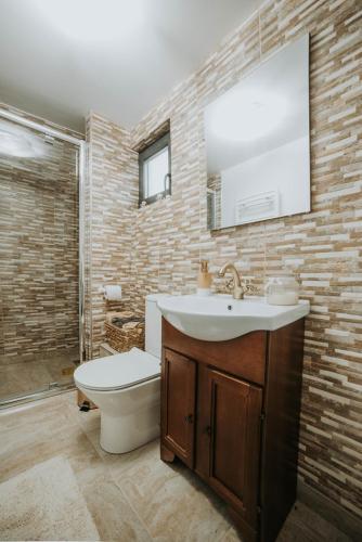 a bathroom with a sink and a toilet and a mirror at Acasă Straja - Casa Vintage in Lupeni