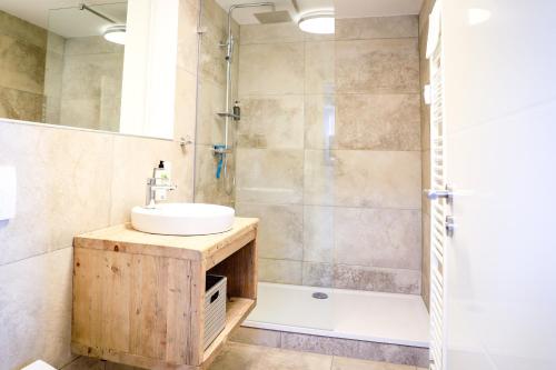 y baño con lavabo y ducha. en Smart Resorts Haus Saphir Ferienwohnung 504, en Winterberg