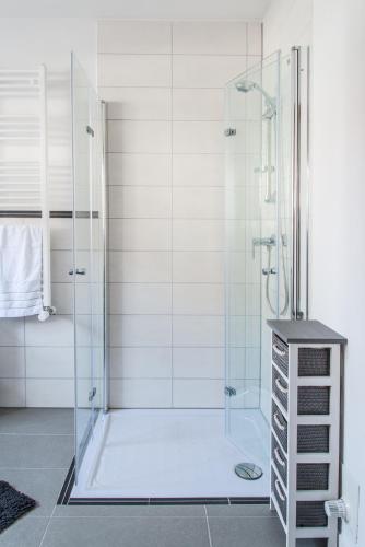 a bathroom with a shower with a glass door at Ferienhaus Wolferstetter in Tittmoning