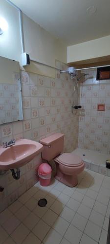 a bathroom with a pink toilet and a sink at Mirador Backpackers B&B in Huaraz