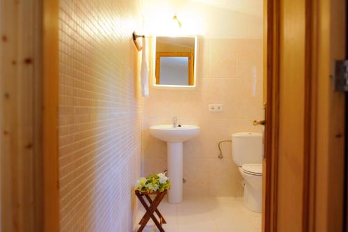 a bathroom with a sink and a toilet at Finca Cavea in Caʼs Concos