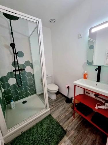 une salle de bain avec une douche, des toilettes et un lavabo dans l'établissement La Maison Jaurès - Le Nintendo, à Liévin