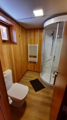 a bathroom with a toilet and a shower at Hermoso monoambiente con jardin, modernoso y cálido a media cuadra de la calle principal (V406) in San Martín de los Andes