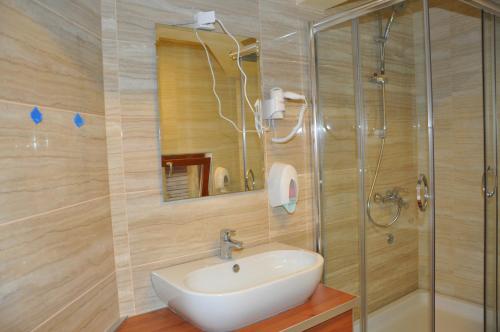 y baño con lavabo y ducha. en Motel Tara MB, en Ðurđevića Tara
