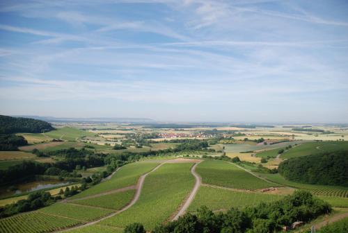 an aerial view of a green field with a road at Pension Margarete in Handthal