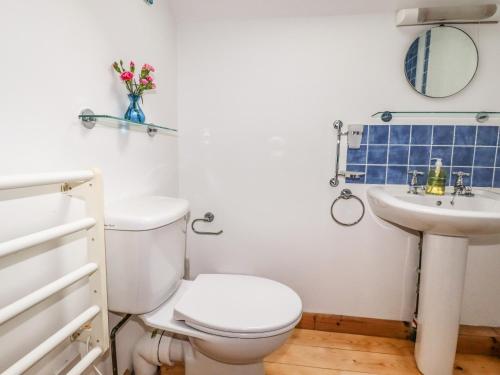 a white bathroom with a toilet and a sink at Little Orchard Barn in St Austell