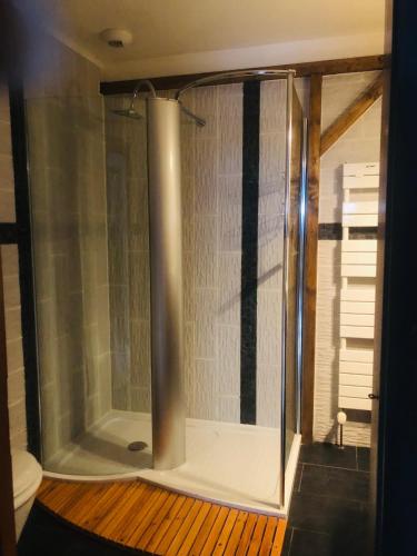 une douche avec une porte vitrée dans une salle de bain dans l'établissement la ferme de manu, à Saulxures