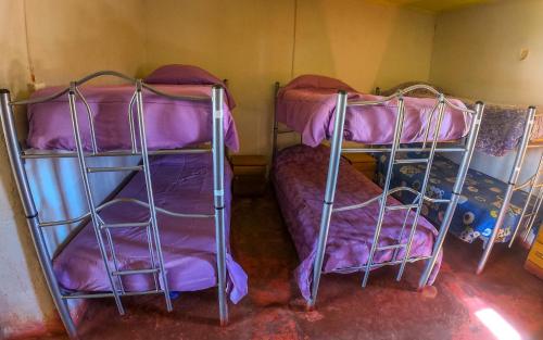 two bunk beds in a room with purple sheets at La Casa del Sol Naciente in San Pedro de Atacama