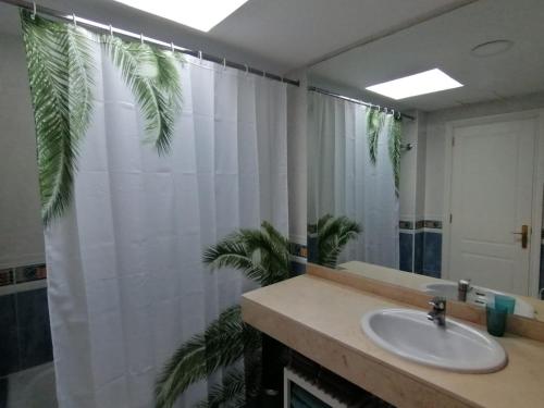 Fotografie z fotogalerie ubytování Oasis Waves House v destinaci Corralejo