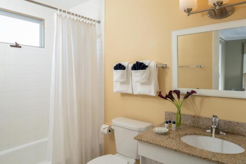 a bathroom with a toilet and a sink and a mirror at Dockside Guest Quarters in York