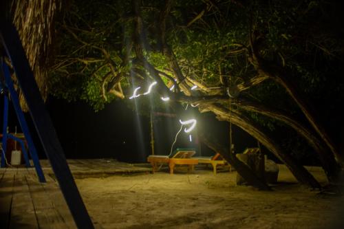 a tree with lights hanging from it at night at Isla Los Erizos EcoHouse in Isla Grande