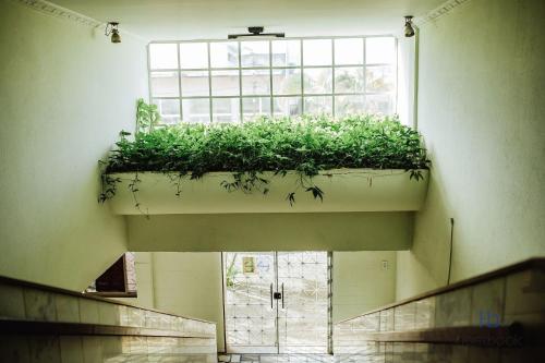 a building with a window with a plant at Apto beira-mar no centro | ROMM303 in Rio das Ostras