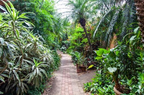 a brick path through a tropical garden with palm trees at Vila Verde Hotel in Toledo