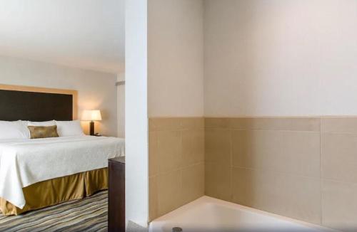a hotel room with a bed and a bath tub at Wyndham Avon in Avon Center