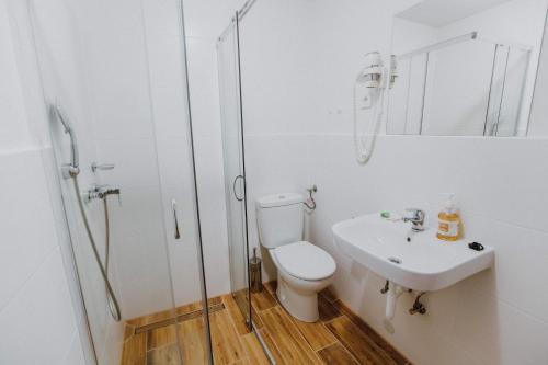 a bathroom with a shower and a toilet and a sink at Pension Tofalvi in Harghita-Băi