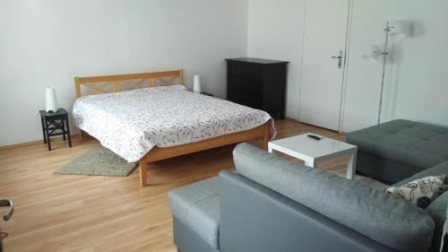 a living room with a bed and a couch at FSQH SECRET TOWER in Szeged