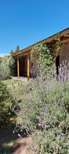 Tikaykilla Lodge & Wines – Photos 3