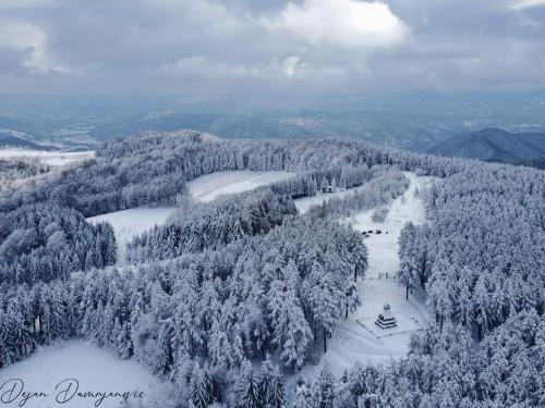 an aerial view of a forest with snow covered trees at Apartman A9 Lux in Banja Koviljača