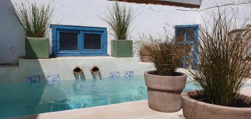 a swimming pool with two potted plants and a blue window at Casa Cuqui in Orgaz