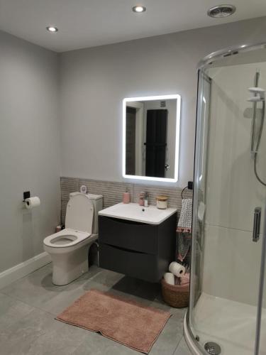 a bathroom with a toilet and a sink and a mirror at Modern 3-Bed Apartment in Magherafelt Sleeps 8 in Magherafelt