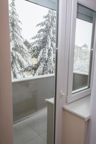 a window with a snow covered christmas tree outside at Galaxy Apartments in Belgrade