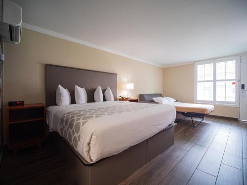a hotel room with a large bed and a desk at Equus Inn I75 in Ocala