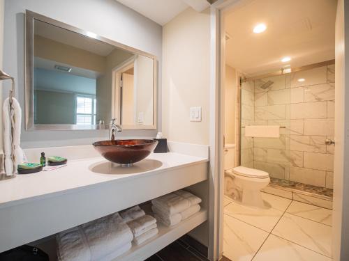 a bathroom with a bowl sink and a shower at Equus Inn I75 in Ocala