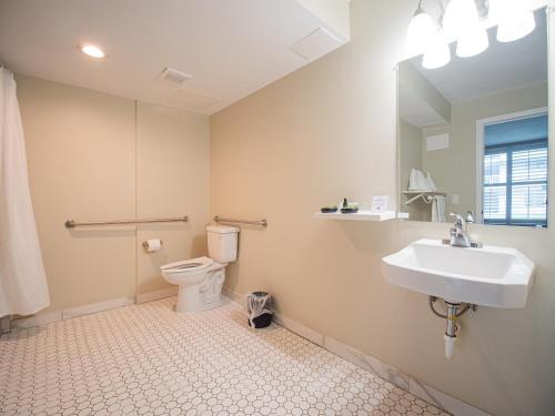 a bathroom with a sink and a toilet and a mirror at Equus Inn I75 in Ocala