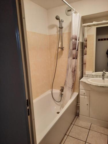 een badkamer met een douche, een bad en een wastafel bij Studio du Benat in Luz-Saint-Sauveur