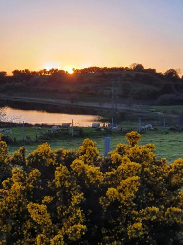 a sunset over a field with animals in a field at Claragh Cottage in Cavan