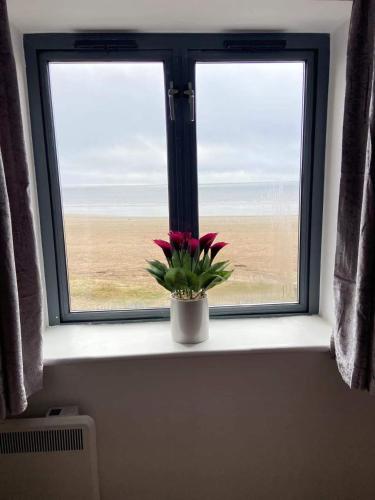 a vase with flowers sitting on a window sill at Beach Front APT with Stunning Sea View in Swansea