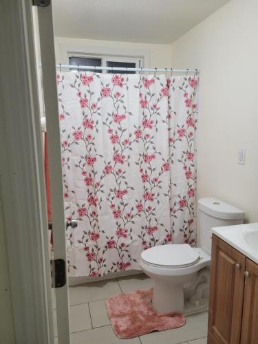a bathroom with a shower curtain with a toilet at Adorable 1 bedroom Apartment in Vallejo
