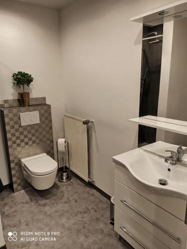 a bathroom with a toilet and a sink at Sky Night Guest House in Düren - Eifel