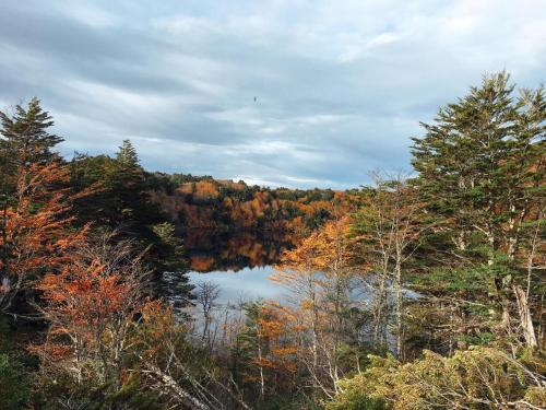 a view of a lake in the middle of a forest at Barraco Lodge in Puelo