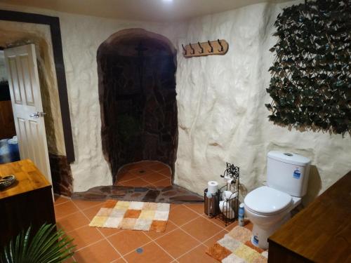 a bathroom with a toilet in a room at Di's Dugouts in Coober Pedy