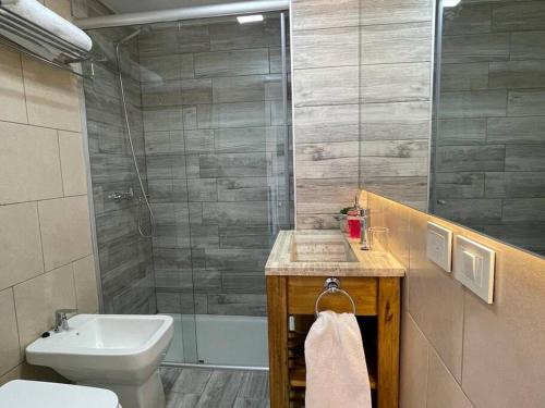 a bathroom with a sink and a toilet and a shower at Brisas del Olivia in Ushuaia