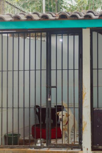 a dog in a cage in a building at Urbanest Inn House TB Simatupang in Jakarta