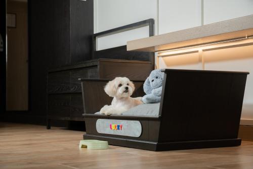 a dog sitting in a suitcase with two stuffed animals at Hyatt Regency Hua Hin in Hua Hin