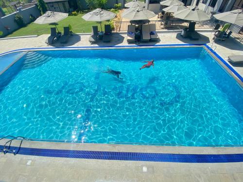 a swimming pool with two people in the water at Hotel Comster Mtwapa in Mtwapa