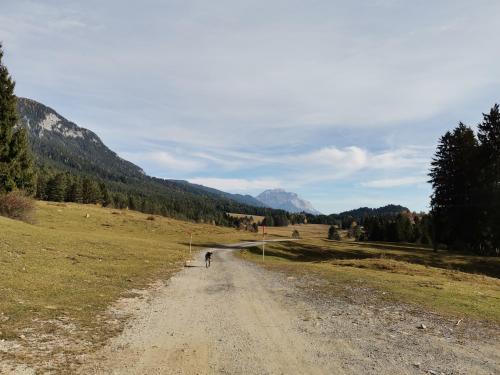 a person walking down a dirt road in a field at Landhaus Marie in Hermagor