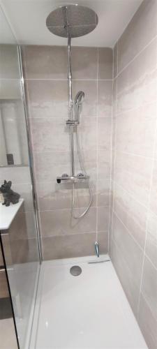 une douche avec pommeau de douche dans une salle de bain dans l'établissement Villa Pont de l'Arc à Aix avec PISCINE au calme 92 m2, à Aix-en-Provence