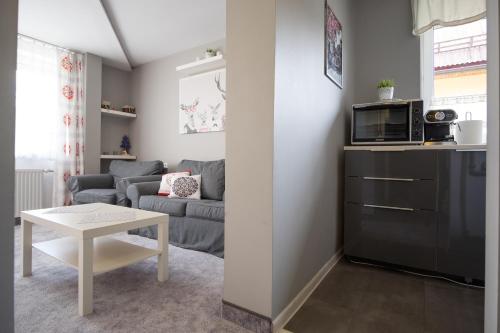 een kleine woonkamer met een bank en een magnetron bij Admi Zakopane in Zakopane