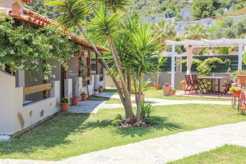 a courtyard of a house with a palm tree at Villa Amy in Achladies