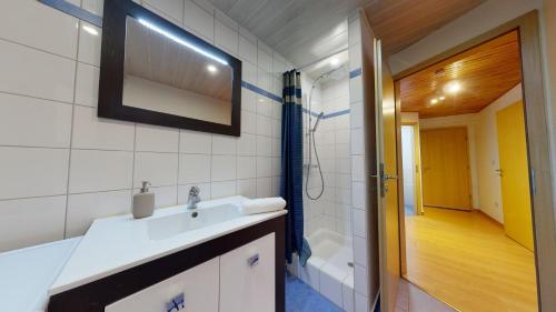 une salle de bain avec un lavabo et une douche dans l'établissement Le Petit Thierenbach, à Colmar