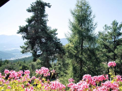 um campo de flores com árvores e montanhas ao fundo em Holiday Home Solea - IST201 by Interhome em Imst