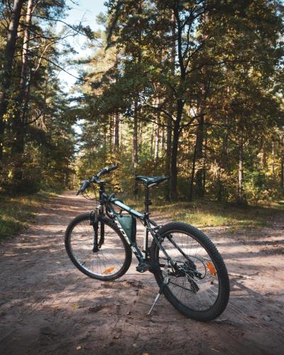 a bike parked on a dirt road in a forest at Leśna 21 Dom Południe przy PUSZCZA BIAŁOWIESKA in Łuka