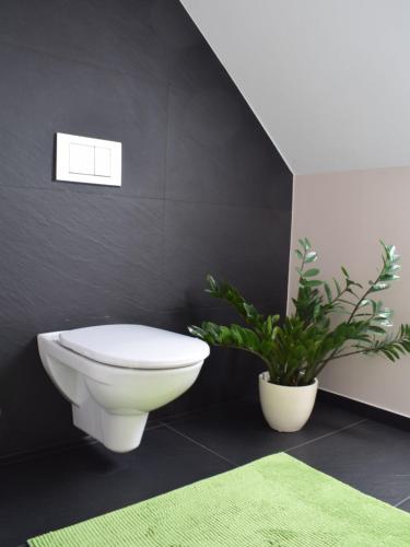 a bathroom with a toilet and a green rug at Apartment Ligist by Interhome in Ligist