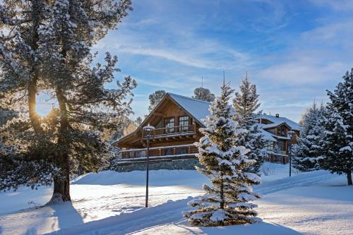 a log cabin in the snow with a tree at Cosmos Collection Altay Resort in Urluaspak